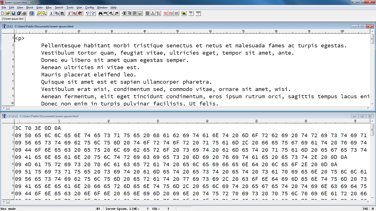 vEdit Advanced Search and Replace includes pattern matching and regular expressions